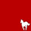 White Pony (Red) [Limited] [ENHANCED]