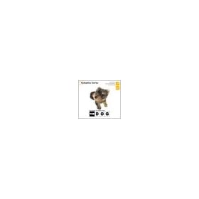 THE DOG~YorkshireTerrier