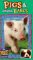  Baby Animals [VHS] [Import]