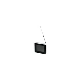 �R���K 2.4�^ �����Z�O�|�[�^�u���e���r CG-1SG24TVW �z���C�g
