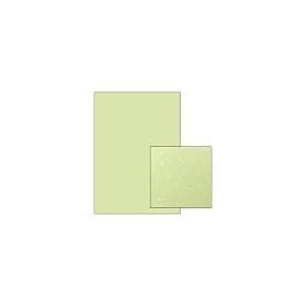�N���b�|�X�^�[ �n�[�u CR06S