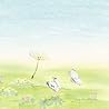 イノトモのアルバムの画像