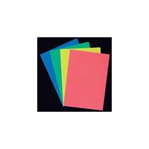 【クリックでお店のこの商品のページへ】ジョインテックス カラーホルダー A4 MX20枚 D611J-MX