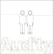 Audity