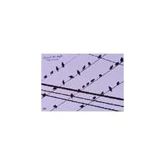JOURNAL FOR PEOPLE [DVD]