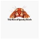 Best of Spooky Tooth (Different Tracks)