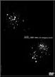 one{2004.1.10 yokohama arena} [DVD]