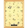 �W�O�\�[�p�l�� �f�B�Y�j�[��p�p�l�� 200�s�[�X �ؐ�200P�p�i�`������ (22.5�~32cm)