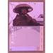 �|�R�ЂƂ藷 [DVD]