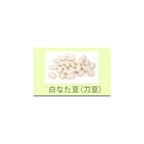 �Ȃ���100g [�w���X�P�A&�P�A�p�i]