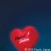 HEART STATION / Stay Gold
