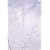 �k�̍����� Vol.5 [DVD]