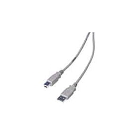 EPSON USBCB2 (USB2.0�P�[�u��)