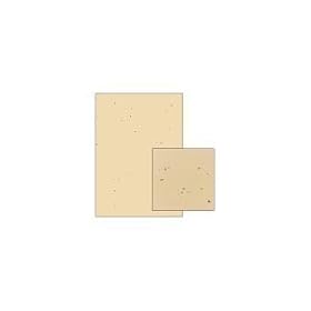 �N���b�|�a�� �H�F CW03S