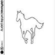 White Pony