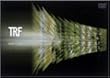VIDEO CLIPS [DVD]