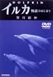 �C���J~����̂͂��܂�~ [DVD]