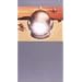 Mr.Children concert Tour Q 2000~2001 [DVD]