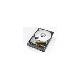 ����GST Deskstar T7K500(250GB/SATA3G/7200rpm/8MB) HDT725025VLA380