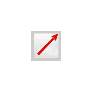 【クリックで詳細表示】境界用明示板＿50mmX50mm、足付3cm、斜矢＿20枚：【測量用品】：255-0235