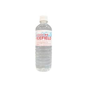 �yNGW�W���p���z�A�C�X�t�B�[���h 500ml �y�b�g�{�g�� 24�{�Z�b�g