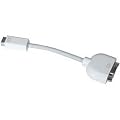 Apple Mini DVI-VGA�A�_�v�^