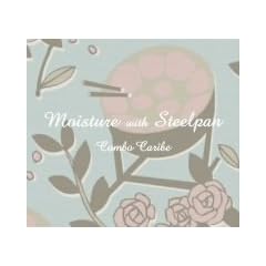 Moisture with Steelpan
