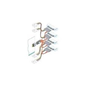 �A�_�v�e�b�N�W���p�� �����ڑ��pSAS�P�[�u�� ACK-I-mSASx4-SAS4x1-FO-0.5m R / 2231900-R ACK-I-mSASx4-SAS4x1-FO-0.5m R