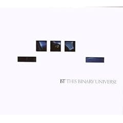 This Binary Universe