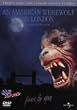 �T�j�A�����J�� [DVD]