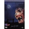 �T�j�A�����J�� [DVD]