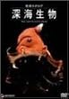 �n���J�^���O �[�C���� [DVD]