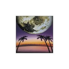 moon risin�f
