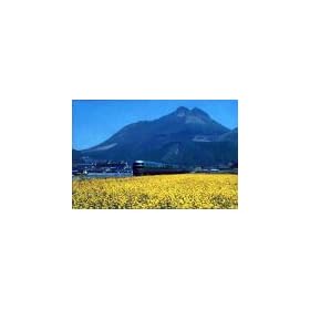 1000�s�[�X �R�z�x���z�����z�@�� (�啪) (50cm�~75cm�A�Ή��p�l��No.10)