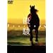 �D�x ORACION [DVD]