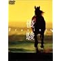 �D�x ORACION [DVD]