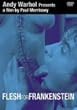 �t���b�V���E�t�H�[�E�t�����P���V���^�C��/�����̂͂�킽 [DVD]