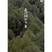 �k�̍����� Vol.8 [DVD]