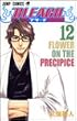 BLEACH�\�u���[�`�\ 12 (�W�����v�E�R�~�b�N�X)