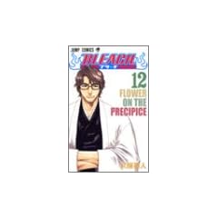 BLEACH�\�u���[�`�\ 12 (�W�����v�E�R�~�b�N�X)