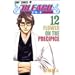 BLEACH�\�u���[�`�\ 12 (�W�����v�E�R�~�b�N�X)