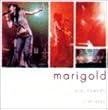 LIVE 2002 Marigold [DVD]