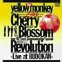 Cherry Blossom Revolution [DVD]