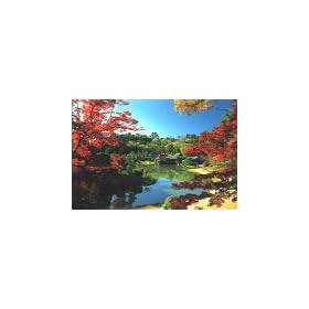 �l�G�̎� 1000�s�[�X �H����̌��{�� (����) (50cm�~75cm�A�Ή��p�l��No.10)