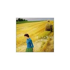 �D�����̈Ӗ�