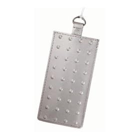 �^�[�K�X�E�W���p�� iPod nano tagcase(�V���o�[) AEB2802AP