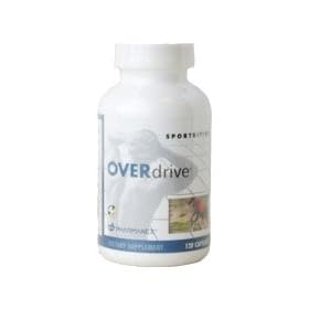 �j���[�X�L�� NU SKIN �I�[�o�[�h���C�u 03102989