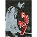 �m�`�Ȃ��킢 �㗝�푈 [DVD]