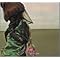 Pest-X's Atelier(hide��)