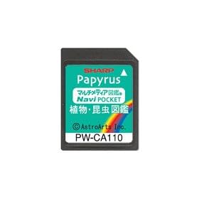 SHARP �R���e���c�J�[�h �A���E�����}�ӃJ�[�h PW-CA110 (PW-J5000�Ή�)